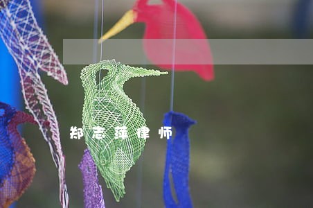 郑志萍律师 郑志萍律师