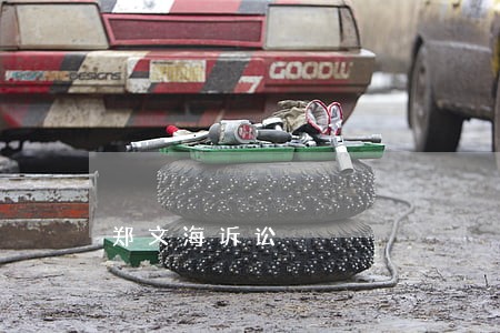 郑文海诉讼 郑文海诉讼