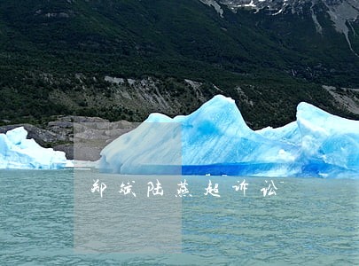 郑斌陆燕超诉讼