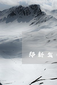 郑新发律师