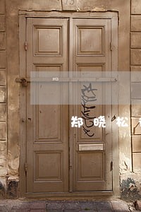 郑晓松律师 郑晓松律师