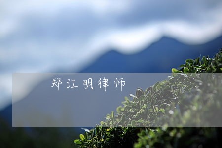 郑江明律师 郑江明律师