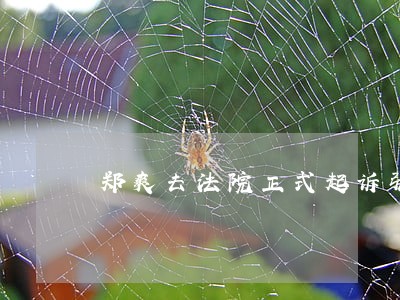 郑爽去法院正式起诉张恒了 郑爽去法院正式起诉张恒了