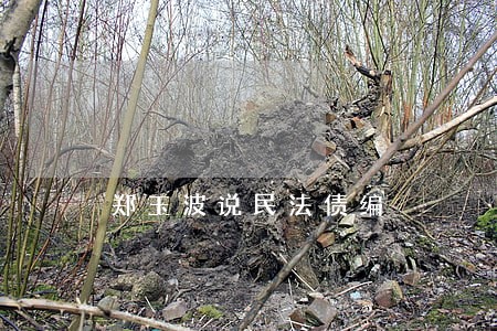 郑玉波说民法债编 郑玉波说民法债编