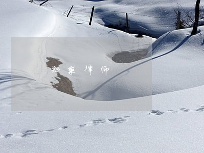 郑秉律师 郑秉律师
