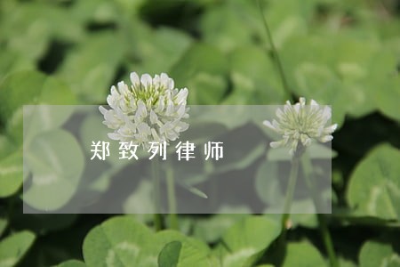 郑致列律师