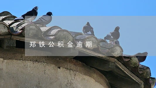 郑铁公积金逾期 郑铁公积金逾期
