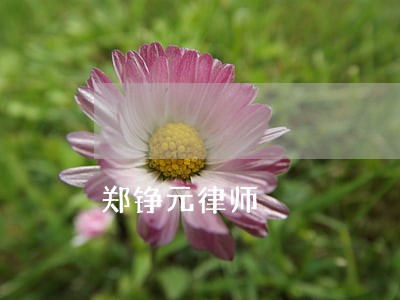 郑铮元律师 郑铮元律师