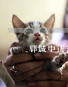郓城中正法律咨询 郓城中正法律咨询