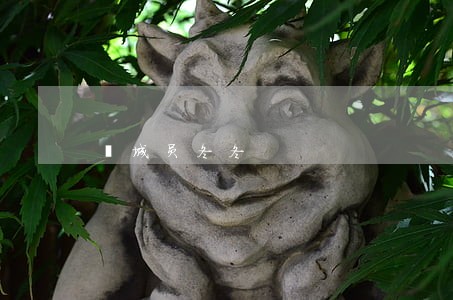 郓城员冬冬 郓城员冬冬