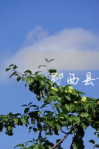 郧西县旅游律师在线免费咨询 郧西县旅游律师在线免费咨询