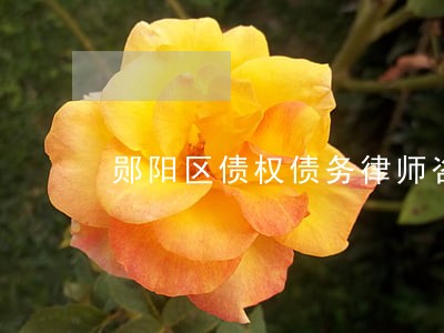 郧阳区债权债务律师咨询电话 郧阳区债权债务律师咨询电话