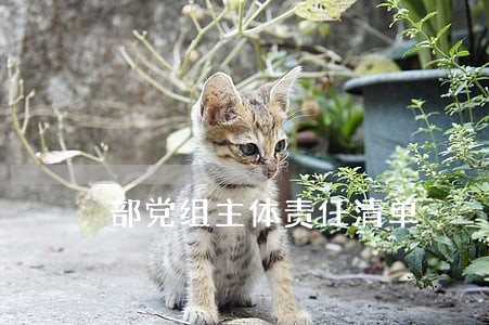 部党组主体责任清单 部党组主体责任清单