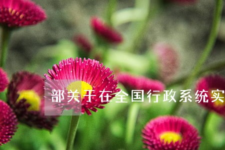 部关于在全国行政系统实 部关于在全国行政系统实