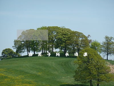 部关于所长待遇 部关于所长待遇