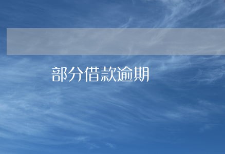 部分借款逾期