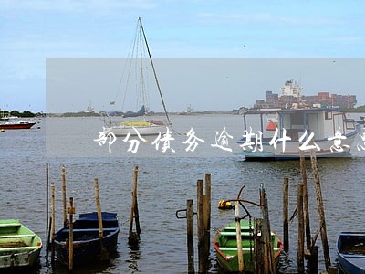 部分债务逾期什么意思 部分债务逾期什么意思