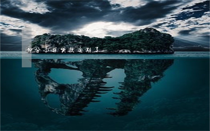部分小额贷款逾期了 部分小额贷款逾期了