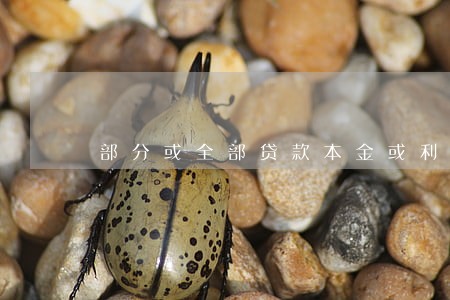 部分或全部贷款本金或利息逾期 部分或全部贷款本金或利息逾期