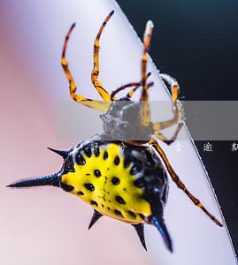 部分本金逾期利息怎么算 部分本金逾期利息怎么算
