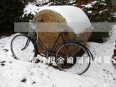 部分租金逾期未付是否属违约 部分租金逾期未付是否属违约