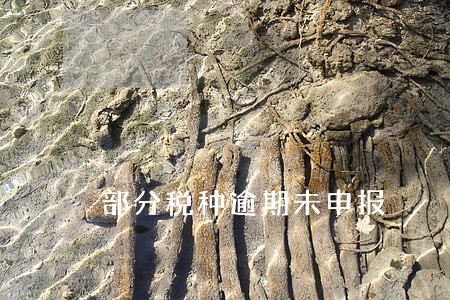 部分税种逾期未申报 部分税种逾期未申报