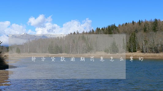 部分贷款逾期罚息怎么算的 部分贷款逾期罚息怎么算的