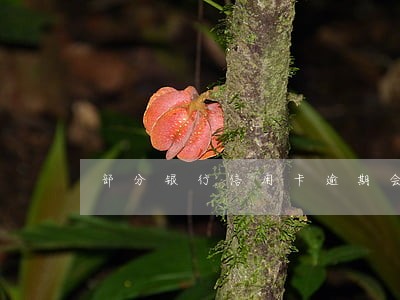 部分银行信用卡逾期会影响其他卡 部分银行信用卡逾期会影响其他卡