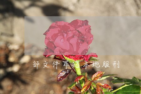 部文件罪犯本地服刑 部文件罪犯本地服刑