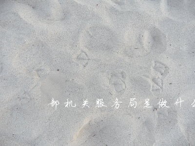部机关服务局是做什么的