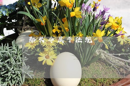 部长令属于法规 部长令属于法规