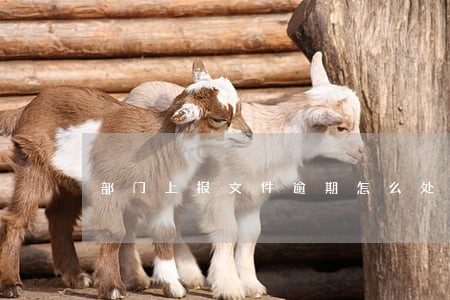 部门上报文件逾期怎么处理 部门上报文件逾期怎么处理