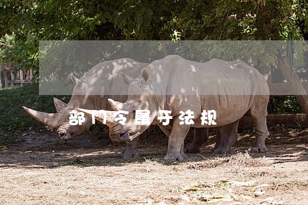 部门令属于法规 部门令属于法规