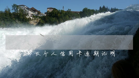 部队个人信用卡逾期证明 部队个人信用卡逾期证明