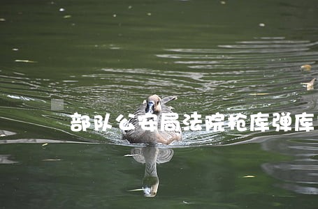 部队公安局法院枪库弹库门 部队公安局法院枪库弹库门