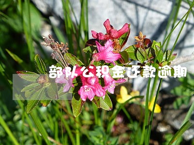 部队公积金还款逾期 部队公积金还款逾期