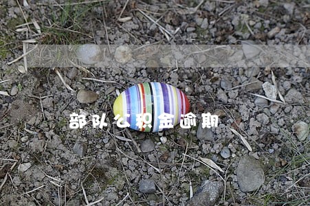 部队公积金逾期 部队公积金逾期