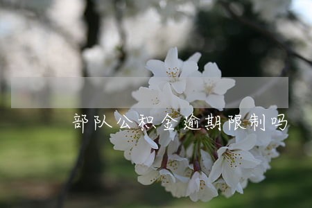 部队公积金逾期限制吗 部队公积金逾期限制吗