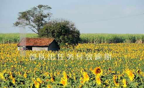 部队出任务导致逾期 部队出任务导致逾期