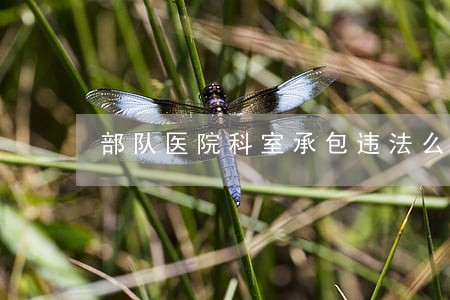 部队医院科室承包违法么