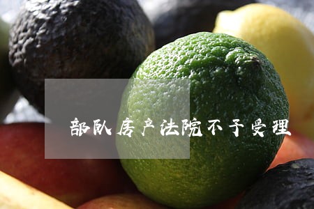 部队房产法院不予受理 部队房产法院不予受理