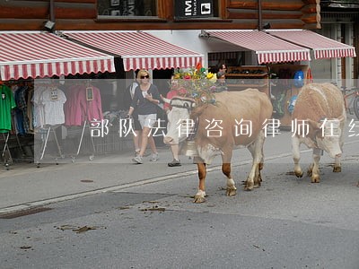 部队法律咨询律师在线 部队法律咨询律师在线