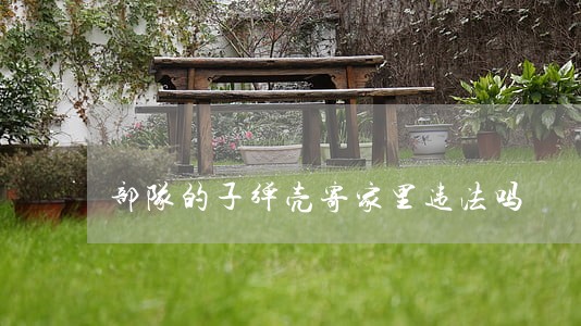 部队的子弹壳寄家里违法吗 部队的子弹壳寄家里违法吗