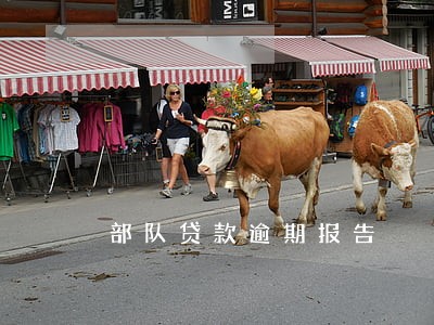 部队贷款逾期报告 部队贷款逾期报告