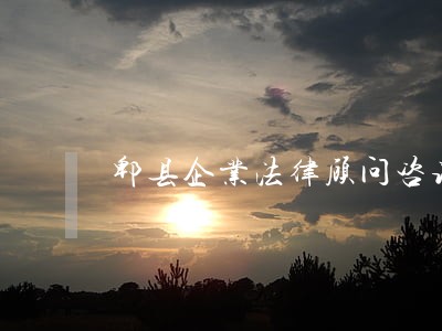 郫县企业法律顾问咨询 郫县企业法律顾问咨询