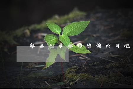 郫县刑事律师咨询公司地址 郫县刑事律师咨询公司地址