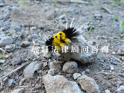 郫县法律顾问咨询 郫县法律顾问咨询