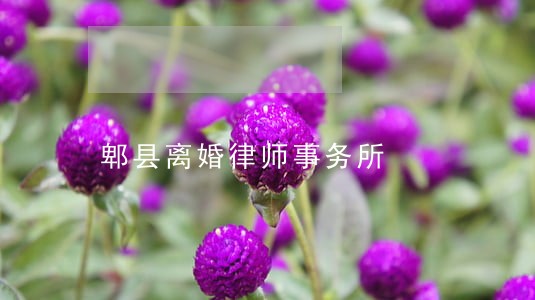 郫县离婚律师事务所 郫县离婚律师事务所