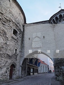 郭丙池律师解答了想要咨询一下