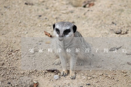 郭淑梅律师解答了判决后 郭淑梅律师解答了判决后